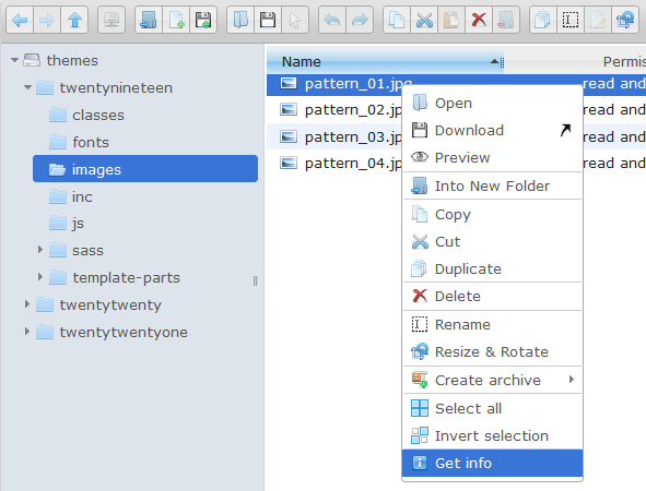 UI showing folder selection and options in Advanced File Manager