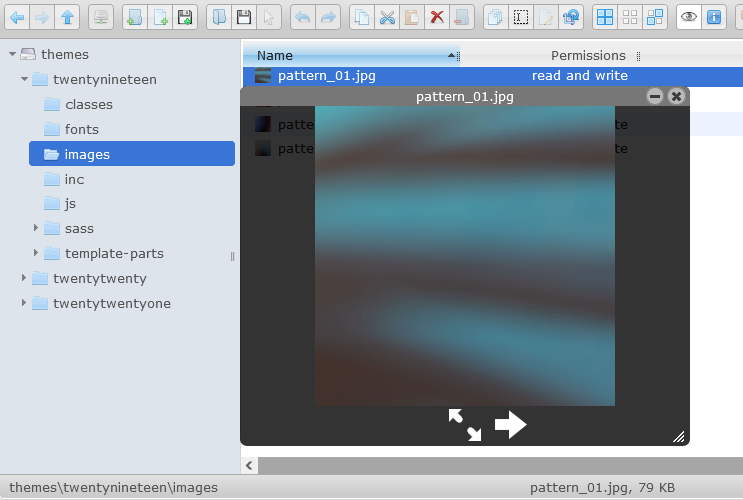 User permission settings.
